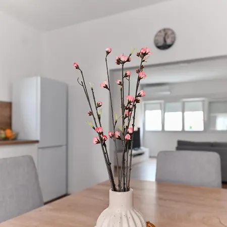 Apartament Paula Center Zadar