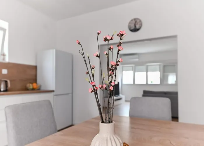 Apartman Paula Center Zára