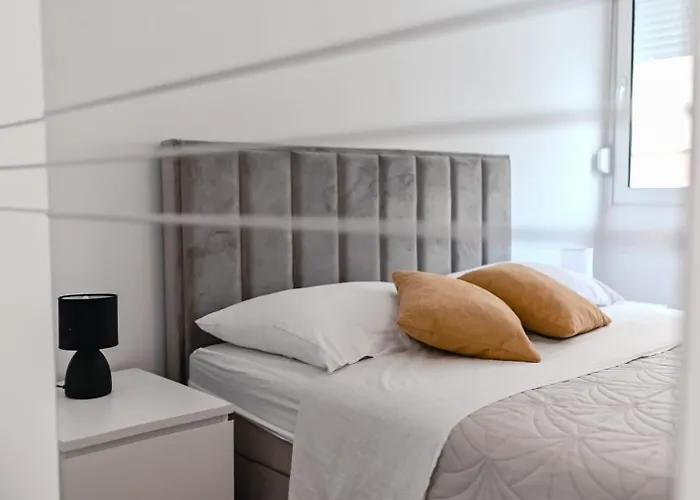 Paula Center زادار